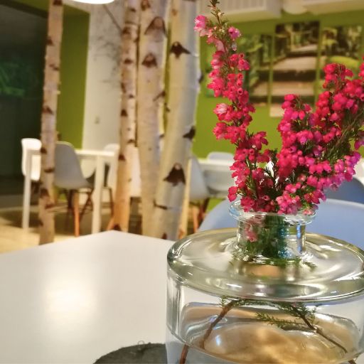 Kantine in Döbeln - Mittagessen zu fairen Preisen